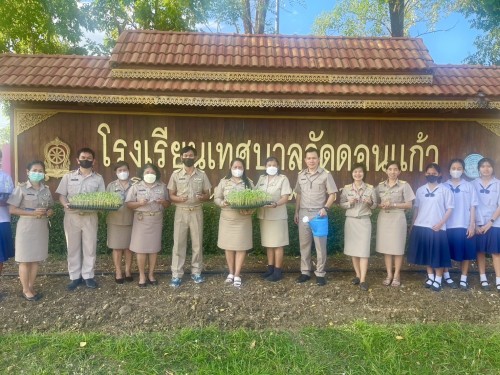 ผักปลอดสาร