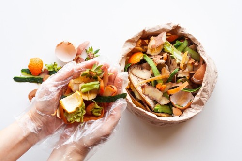 รวม 7 วิธีกำจัดเศษอาหารเหลือทิ้งในบ้าน ให้เป็นประโยชน์