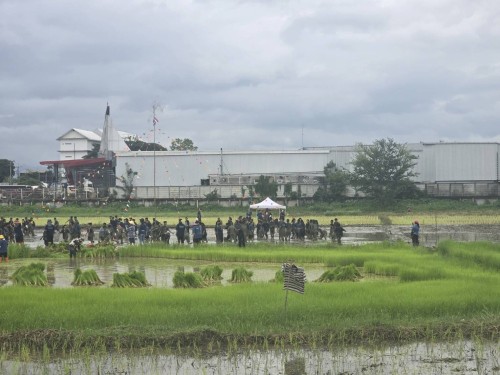 ร่วมกิจกรรม \"ปลูกข้าว ปลูกใจ เด็กไทย รักษ์ข้าว\" ณ แปลงนาสาธิตโรงเรียนเทศบาลวัดดอนแก้ว (แปลงนาสาธิตบริเวณด้านข้างห้าแยกโฮมโปร)