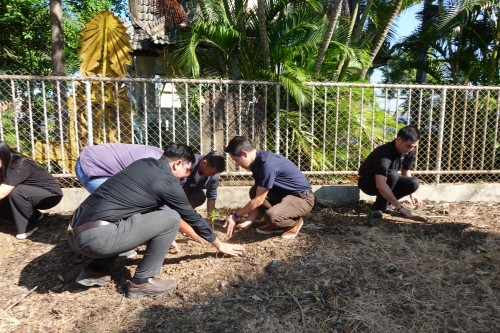 กองยุทธศาสตร์และงบประมาณ ร่วมกิจกรรมปลูกต้นไม้ประจำปี พ.ศ.2568