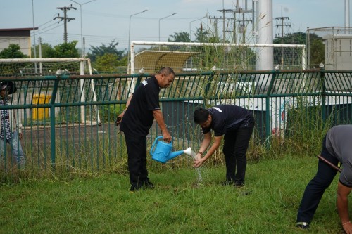 กองการศึกษาร่วมปลูกต้นไม้ เนื่องในโอกาสวันรักต้นไม้ประจำปีของชาติ