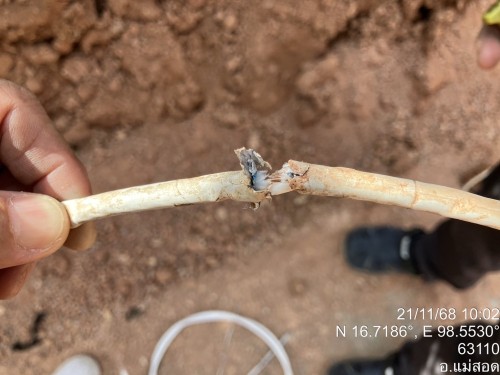 เจ้าหน้าที่กองยุทธศาสตร์และงบประมาณ ดำเนินการตามคำร้องขอซ่อมแซมเคเบิ้ลทีวี ชุมชนสองแควสอง