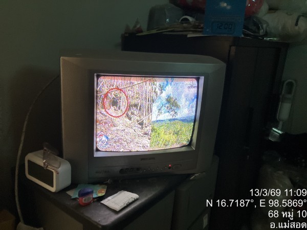 S__48824333_0