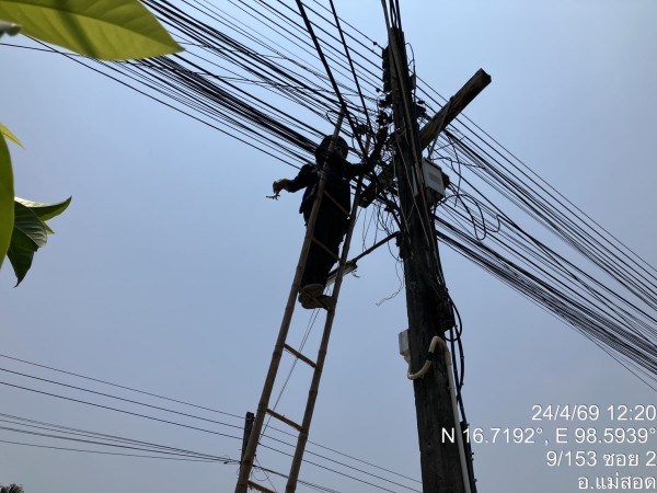 S__57581574_0