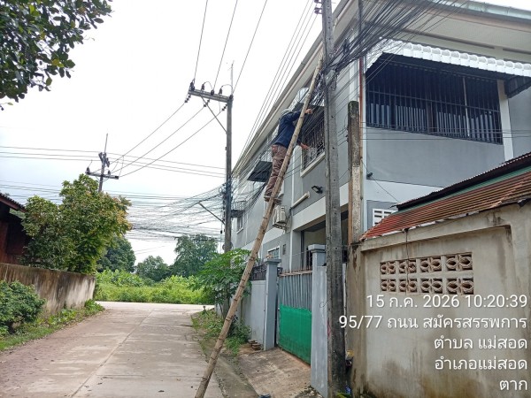 S__75399180_0