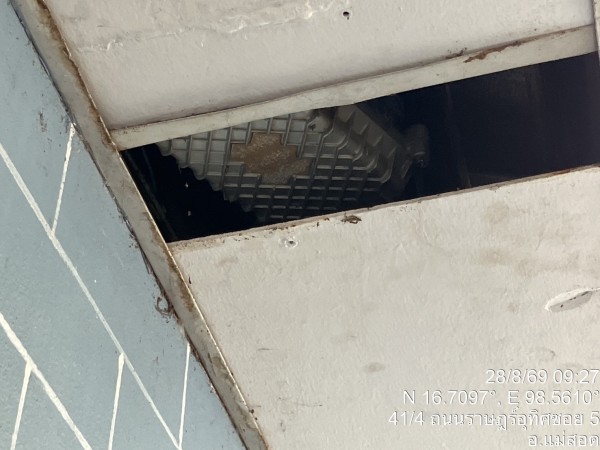 S__85581834_0