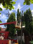 งานไฟฟ้า กองช่าง ออกพื้นที่ซ่อมแซมไฟฟ้าส่องสว่างสาธารณะในเขตพื้นที่ชุมชนต่าง ๆ