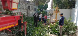ตัดกิ่งไม้บริเวณถนนสวรรค์วิถี