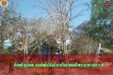 ดับเพลิงเเม่สอด ออกตัดต้นไม้เเห้ง ภายในศาลสมเด็จพระนเรศวรมหาราช