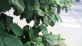 กองวิชาการและแผนงาน ลงพื้นที่ตรวจสอบและปรับมุมกล้องโทรทัศน์วงจรปิด (CCTV)