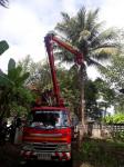 งานไฟฟ้า ฝ่ายการโยธา ร่วมกับงานป้องกันฯ ออกปฏิบัติหน้าที่ตัดแต่งกิ่งไม้ภายในบริเวณบ้านพักอัยการแม่สอด