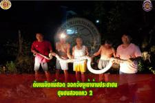 ดับเพลิงเเม่สอด ออกจับงูเข้าบ้านประชาชน ชุมชนสองเเคว 2