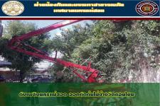ดับเพลิงนครเเม่สอด ร่วมกองช่าง ดำเนินการตัดต้นไม้ซอยข้างวัดดอนไชย
