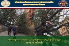 ดับเพลิงนครแม่สอด ออกดำเนินการตัดต้นไม้ขวางถนนชุมชนบ้านทุ่ง