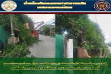 ดับเพลิงนครแม่สอด ร่วมกองช่าง ดำเนินการตัดต้นไม้พาดผ่านสายไฟฟ้าตรงข้ามร้านขายของชำใกล้สี่แยกโรงเรียนเทศบาลวัดมณีไพรสณฑ์