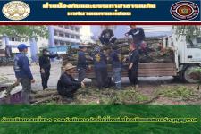 ดับเพลิงนครเเม่สอด ออกดำเนินการตัดต้นไม้ภายในโรงเรียนเทศบาลวัดบุญญาวาส