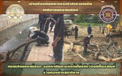 ดับเพลิงนครแม่สอด ออกดำเนินการตัดต้นไม้หลังวัดมณีไพรสณฑ์