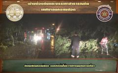 ดับเพลิงนครแม่สอด ดำเนินการตัดต้นไม้ขวางถนน ชุมชนตาลเดี่ยว