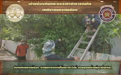 ดับเพลิงนครแม่สอด ดำเนินการตัดต้นไม้และเถาวัลย์ ซอยชุมชนบ้านทุ่ง(เพิ่มเติม)