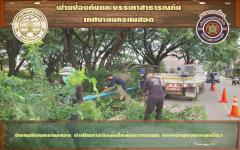 ดับเพลิงนครแม่สอด ดำเนินการตัดต้นไม้ล้มขวางถนนชุมชนตาลเดี่ยว