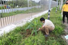 กองยุทธศาสตร์และงบประมาณ ร่วมกิจกรรมปลูกต้นไม้ประจำปี พ.ศ.2564