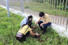 กองยุทธศาสตร์และงบประมาณ ร่วมกิจกรรมปลูกต้นไม้ประจำปี พ.ศ.2564