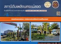 ดับเพลิงนครแม่สอด ดำเนินการตัดต้นไม้บริเวณหน้าวัดมณีไพรสณฑ์