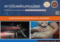 ดับเพลิงนครแม่สอด ออกช่วยเหลือแมวติดบนหลังคา ซอยมณีไพรสณฑ์