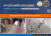 ดับเพลิงนครแม่สอด ออกจับงูบ้านประชาชน ชุมชนบ้านทุ่ง