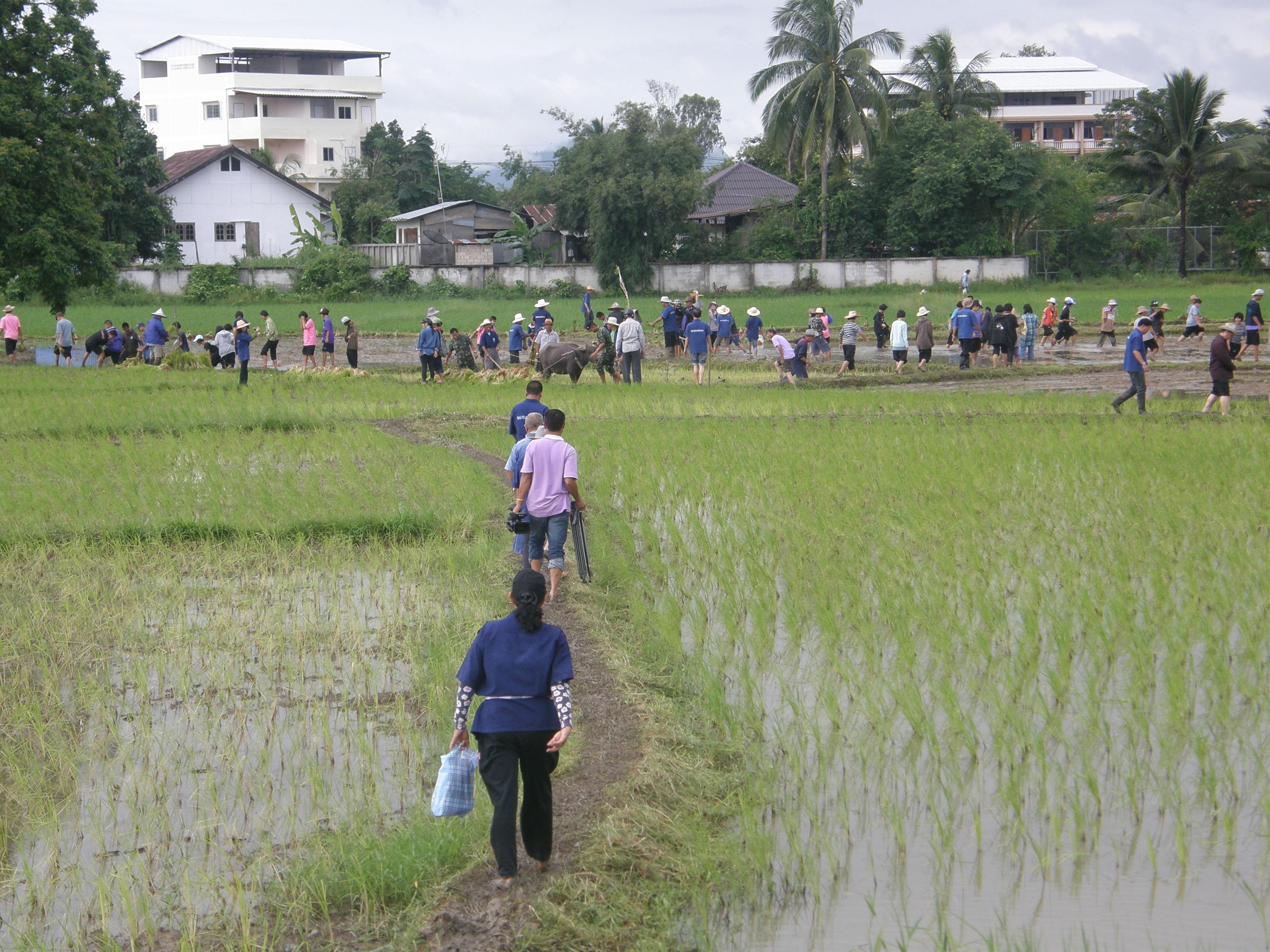 https://nakhonmaesotcity.go.th/frontend/images/grouppage/news_photo/11258.JPG?5835