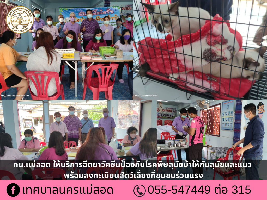 https://nakhonmaesotcity.go.th/frontend/images/grouppage/news_photo/28908.png?3207
