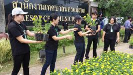 เทศบาลนครแม่สอด ดำเนินโครงการปลุกดอกดาวเรือง ถวายเป็นพระราชกุศล