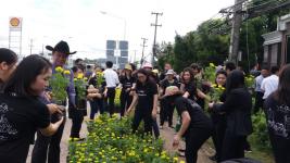 เทศบาลนครแม่สอด ดำเนินโครงการปลุกดอกดาวเรือง ถวายเป็นพระราชกุศล