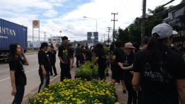 เทศบาลนครแม่สอด ดำเนินโครงการปลุกดอกดาวเรือง ถวายเป็นพระราชกุศล