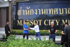 เทศบาลนครแม่สอด ดำเนินโครงการปลุกดอกดาวเรือง ถวายเป็นพระราชกุศล