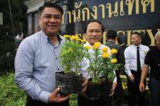 เทศบาลนครแม่สอด ดำเนินโครงการปลุกดอกดาวเรือง ถวายเป็นพระราชกุศล