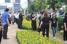 เทศบาลนครแม่สอด ดำเนินโครงการปลุกดอกดาวเรือง ถวายเป็นพระราชกุศล