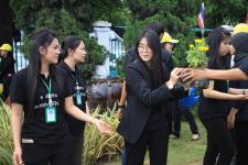 เทศบาลนครแม่สอด ดำเนินโครงการปลุกดอกดาวเรือง ถวายเป็นพระราชกุศล