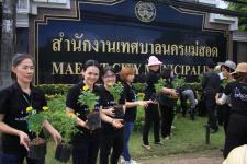 เทศบาลนครแม่สอด ดำเนินโครงการปลุกดอกดาวเรือง ถวายเป็นพระราชกุศล