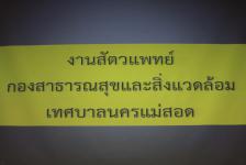 นายถิรยุทธ ฉันติกุล รองนายกเทศมนตรีนครแม่สอด และกองสาธารณสุขและสิ่งแวดล้อม ได้จัดประชุมกับผู้ประกอบการฆ่าโค - ไก่ ในเขตเทศบาลนครแม่สอด