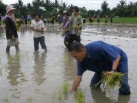 โรงเรียนเทศบาลบาลวัดดอนแก้วจัดกิจกรรมการทำนาข้าวอินทรีย์โดยใช้ภูมิปัญญาท้องถิ่น