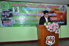 จัดอบรมโครงการป้องกันและแก้ไขปัญหายาเสพติด 