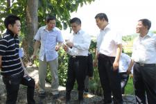 กลุ่มนักลงทุนจีนดูงานพื้นที่แม่สอดในการลงทุนอุตสาหกรรมการผลิตเชื้อเพลิงจากหินน้ำมัน