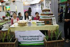 เทศบาลนครแม่สอด เข้าร่วมพิธีเปิดมหกรรมการแพทย์แผนไทยและแพทย์พื้นบ้านไทย ครั้งที่ 10 ระดับภาคเหนือ