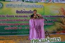 เทศบาลนครแม่สอด ร่วมต้อนรับ พลอากาศเอก ประจิน จั่นตอง รองนายกรัฐมนตรี