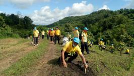 รองนายกเทศมนตรี เข้าร่วมกิจกรรมจิตอาสา “ร่วมใจไทย ผูกต้นไม้ เพื่อแผ่นดิน” สืบสานสู่ 100 ล้านต้น