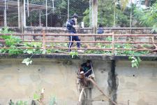 ทน.แม่สอด จัดกิจกรรมจิตอาสาพัฒนาลำห้วยแม่สอด เนื่องในวันคล้ายวันสวรรคตของพระบาทสมเด็จพระบรมชนกาธิเบศร มหาภูมิพลอดุลยเดชมหาราช บรมนาถบพิตร