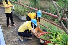 ทน.แม่สอด จัดกิจกรรมจิตอาสาพัฒนาลำห้วยแม่สอด เนื่องในวันคล้ายวันสวรรคตของพระบาทสมเด็จพระบรมชนกาธิเบศร มหาภูมิพลอดุลยเดชมหาราช บรมนาถบพิตร