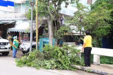 ทน.แม่สอด จัดกิจกรรมจิตอาสาพัฒนาลำห้วยแม่สอด เนื่องในวันคล้ายวันสวรรคตของพระบาทสมเด็จพระบรมชนกาธิเบศร มหาภูมิพลอดุลยเดชมหาราช บรมนาถบพิตร