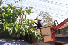 ทน.แม่สอด ร่วมกิจกรรมจิตอาสาปรับปรุงภูมิทัศน์บริเวณเส้นทางรับเสด็จฯ สมเด็จพระกนิษฐาธิราชเจ้า กรมสมเด็จพระเทพรัตนราชสุดาฯ สยามบรมราชกุมารี